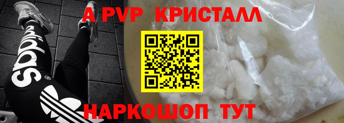 Альфа ПВП СК Нижнекамск