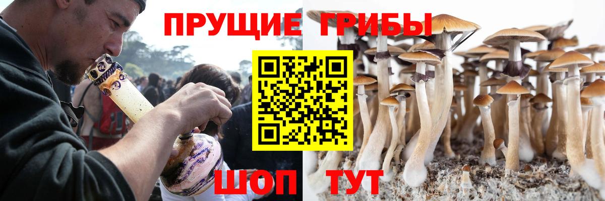 Галлюциногенные грибы Cubensis Нижнекамск